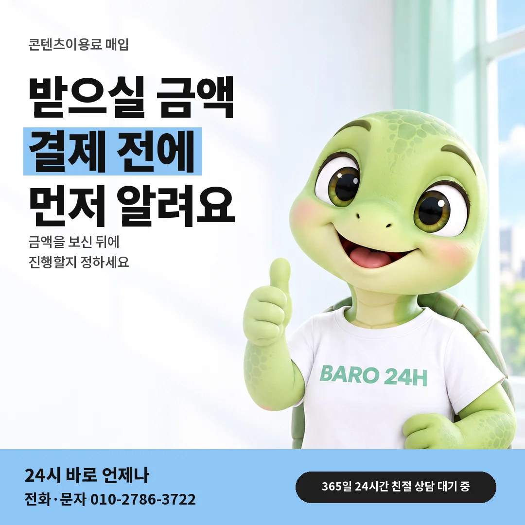 BARO 24H 티셔츠를 입은 3D 거북이 캐릭터 옆에 「받으실 금액 미리 알기」 제목을 얹은 안내 카드